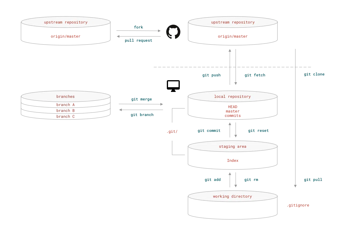 从git config身份配置到 SSH 免密认证:Windows 环境完整指南_git config ssh-CSDN博客