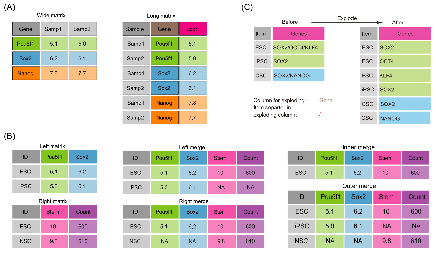 Figure 2. 矩阵格式与转换功能