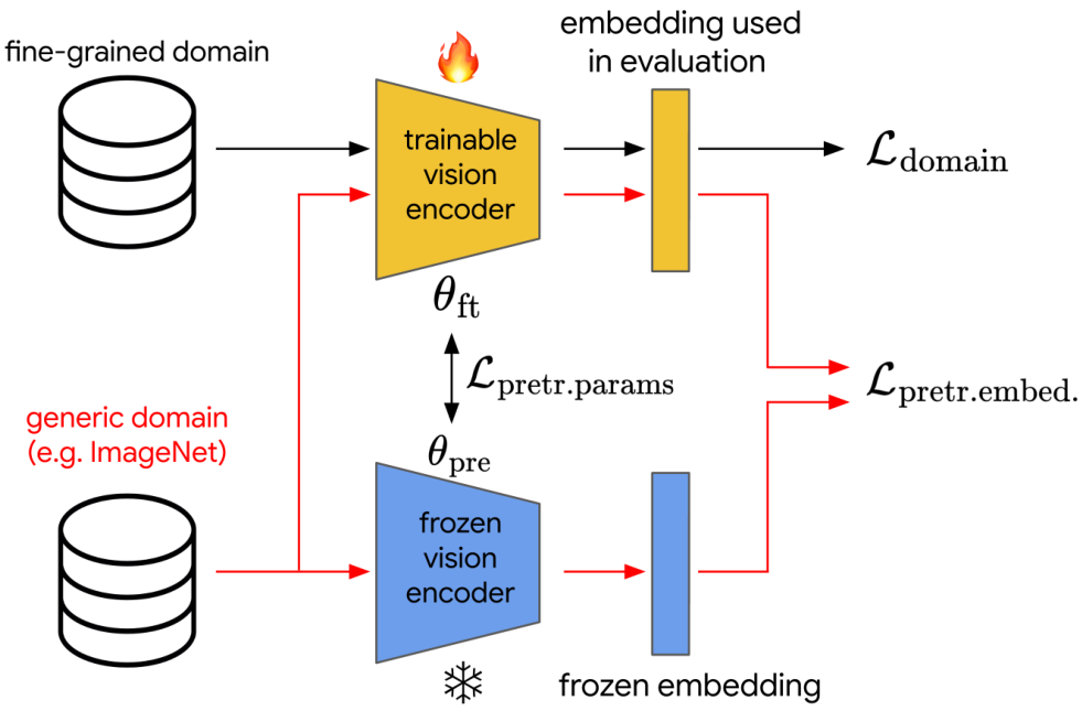 Figure 2. Schematic illustration of the proposed fine-tuning pipeline. The vision encoder that is being fine-tuned is initialized with the parameters of the frozen vision encoder of the VLM. During fine-tuning, it tries to minimize the in-domain loss on the fine-grained domain's data (Ldomain), while at the same time it is tasked (sud d） sd paud a Ae ren p ou oand the embedding space (Lpretr.embed.) of the frozen vision encoder of the VLM.