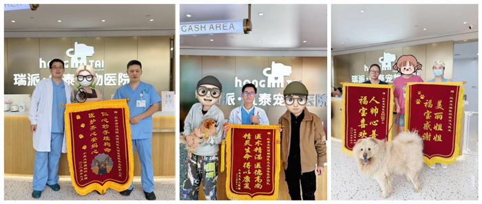 图片16_副本.png
