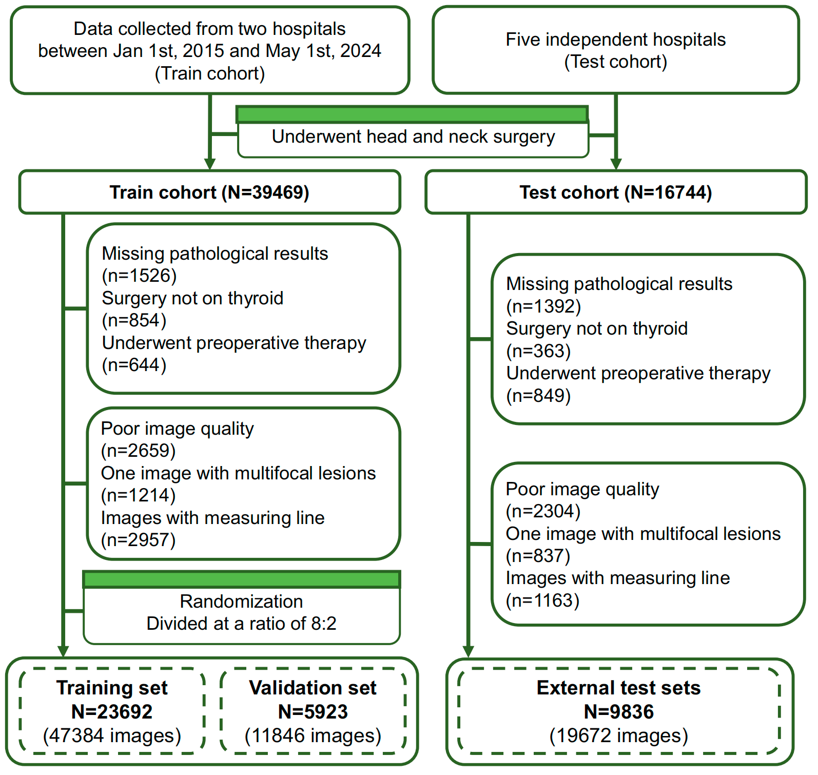 image-20250804195904755