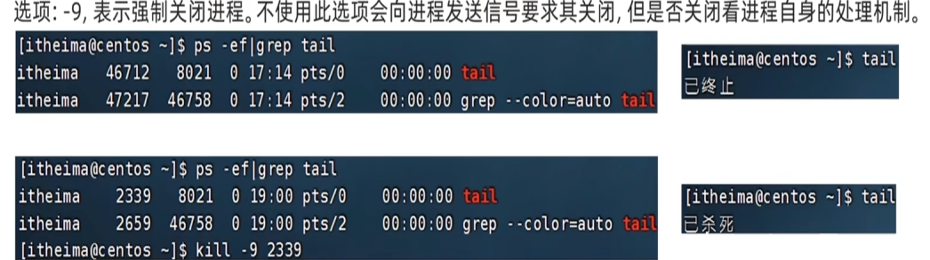 image-20260712103632402