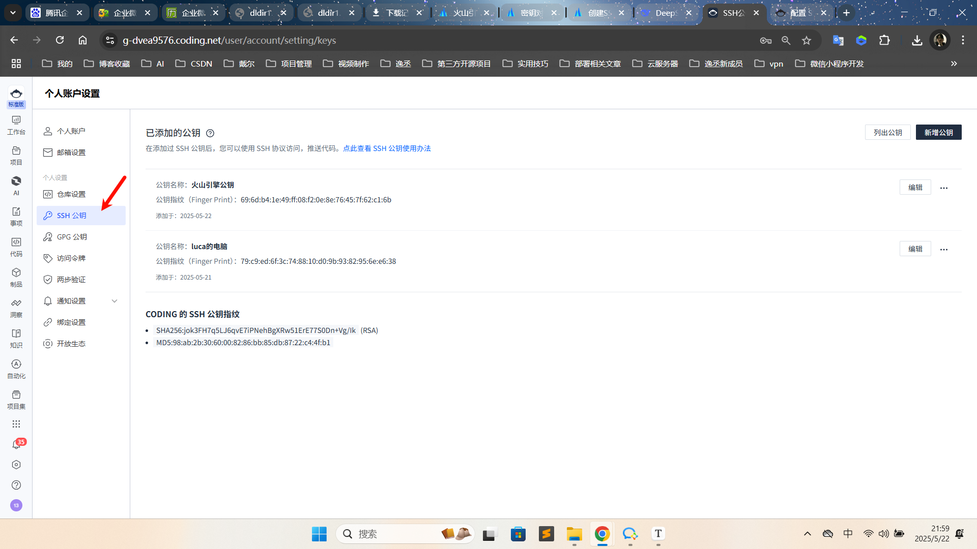 image-20250522215923699