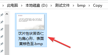 命名