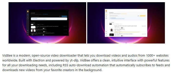VidBee 项目介绍图