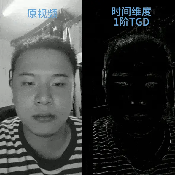 图2：时间维度TGD响应幅度可视化