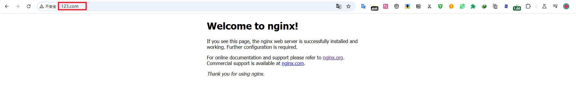 image-20240919123611660