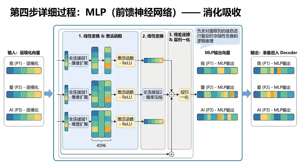 MLP (前馈神经网络)示意图