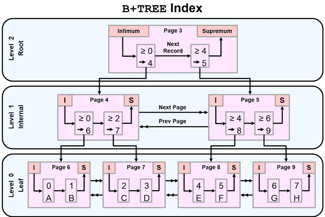 B+树索引结构示意图