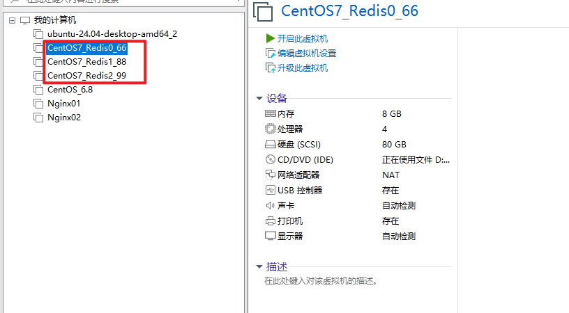 image-20241013132634295