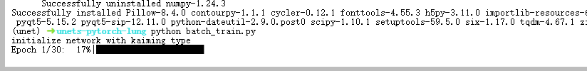 image-20250105014519606
