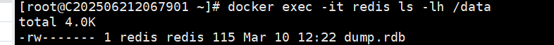 image-20260310202630113