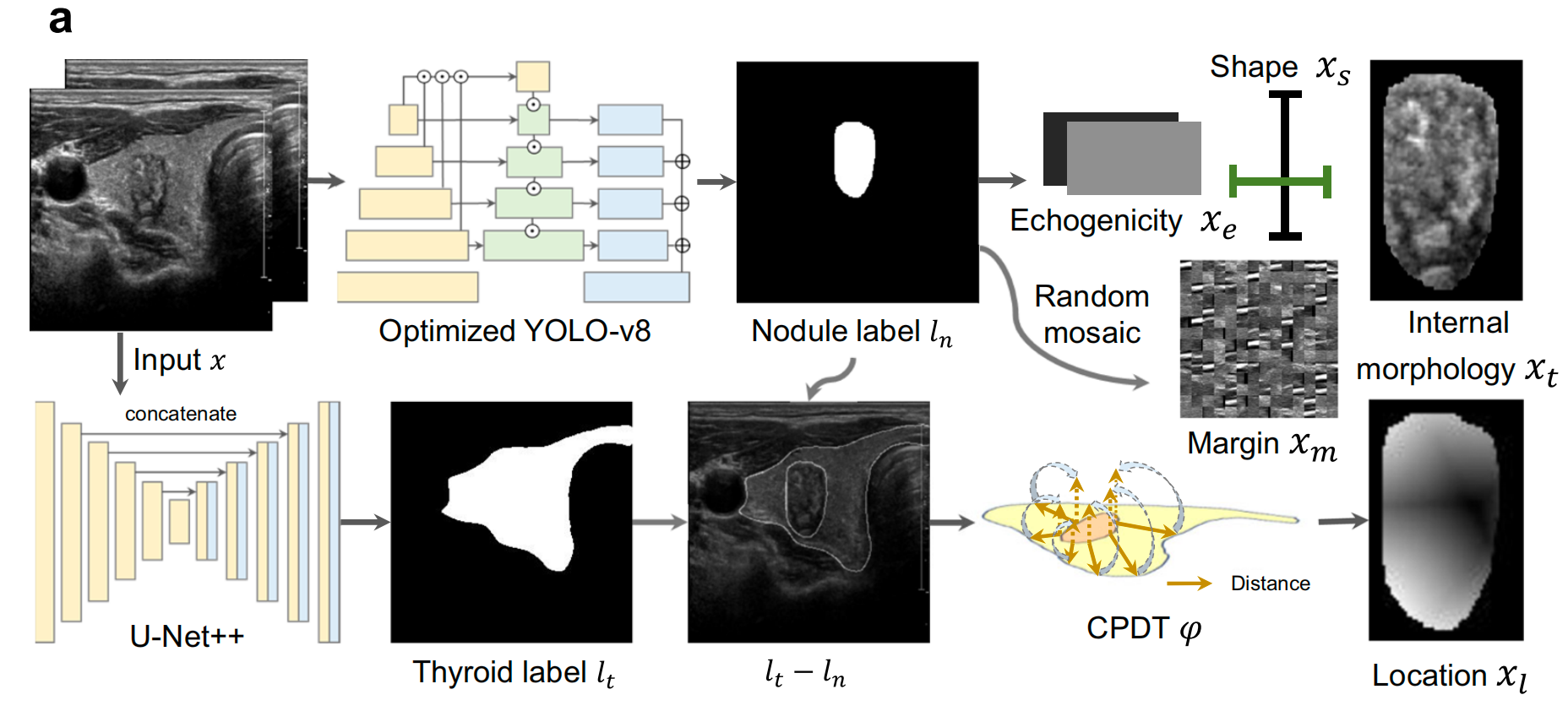 image-20250804195743500