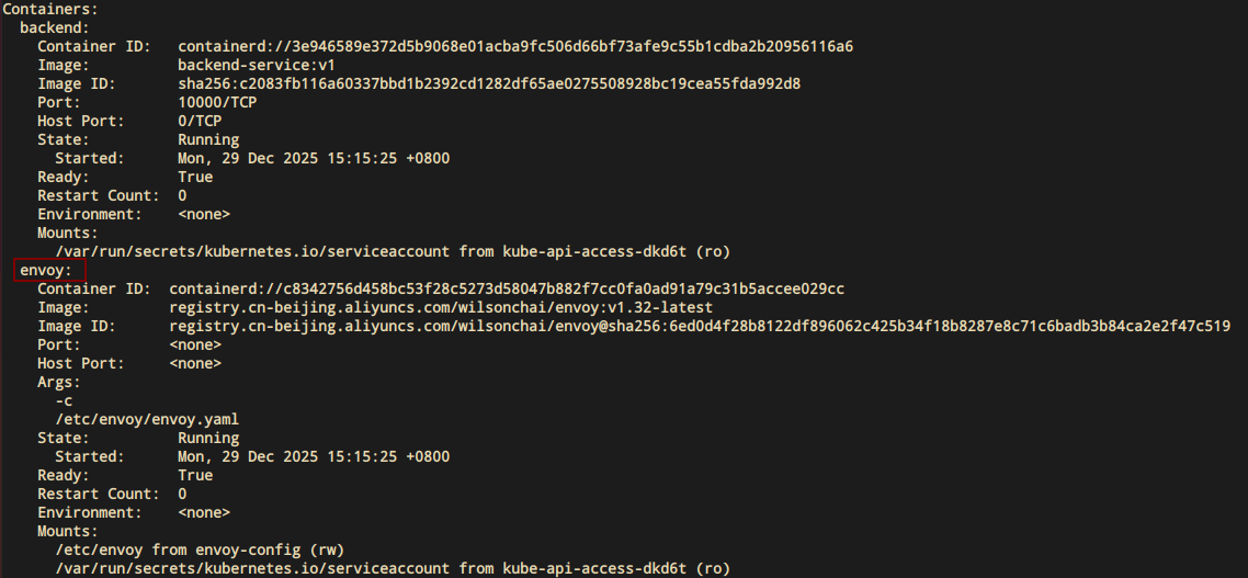 auto_injection_2