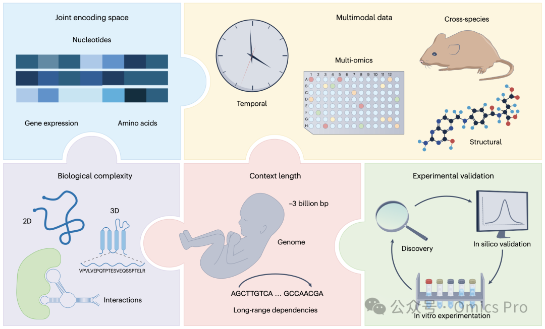 建模生命语言：DNA→RNA→蛋白质→细胞功能-CSDN博客