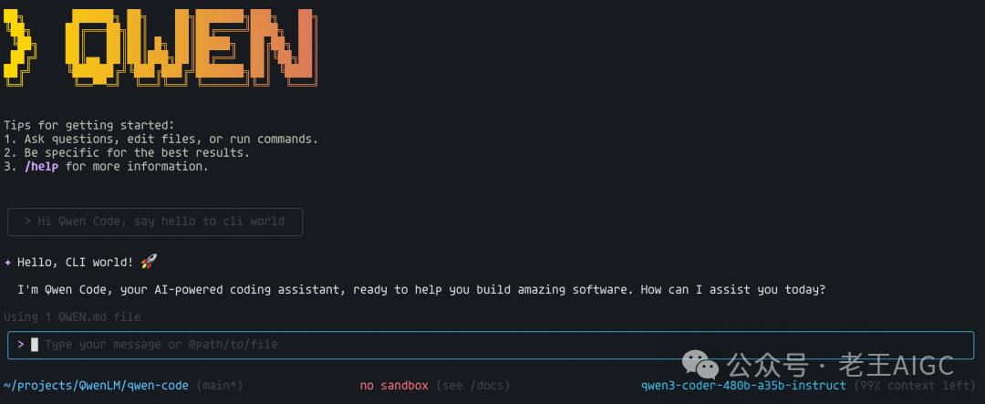 Qwen Code Screenshot