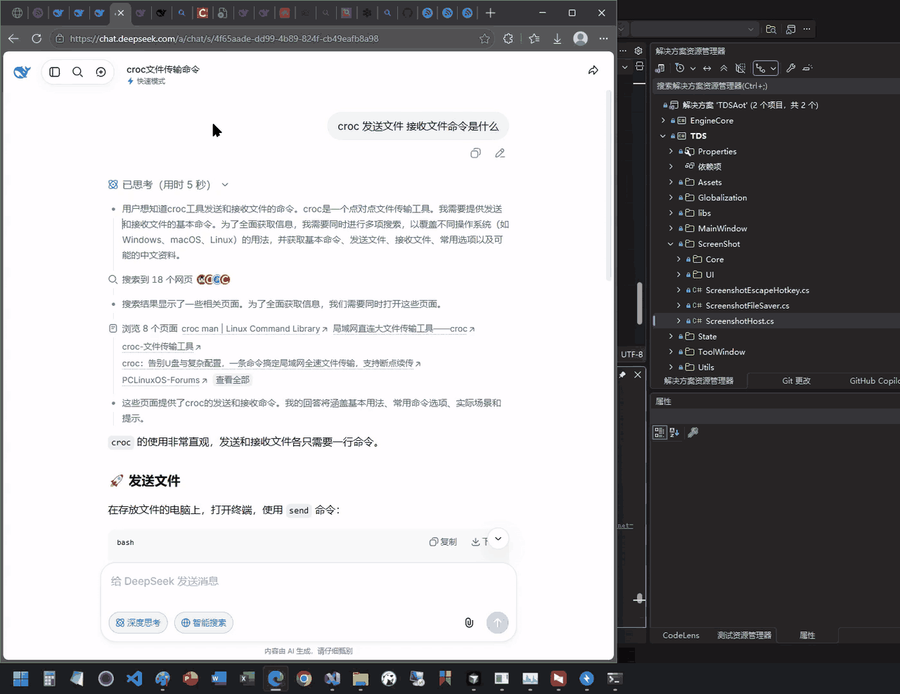 DSWEBSNAP