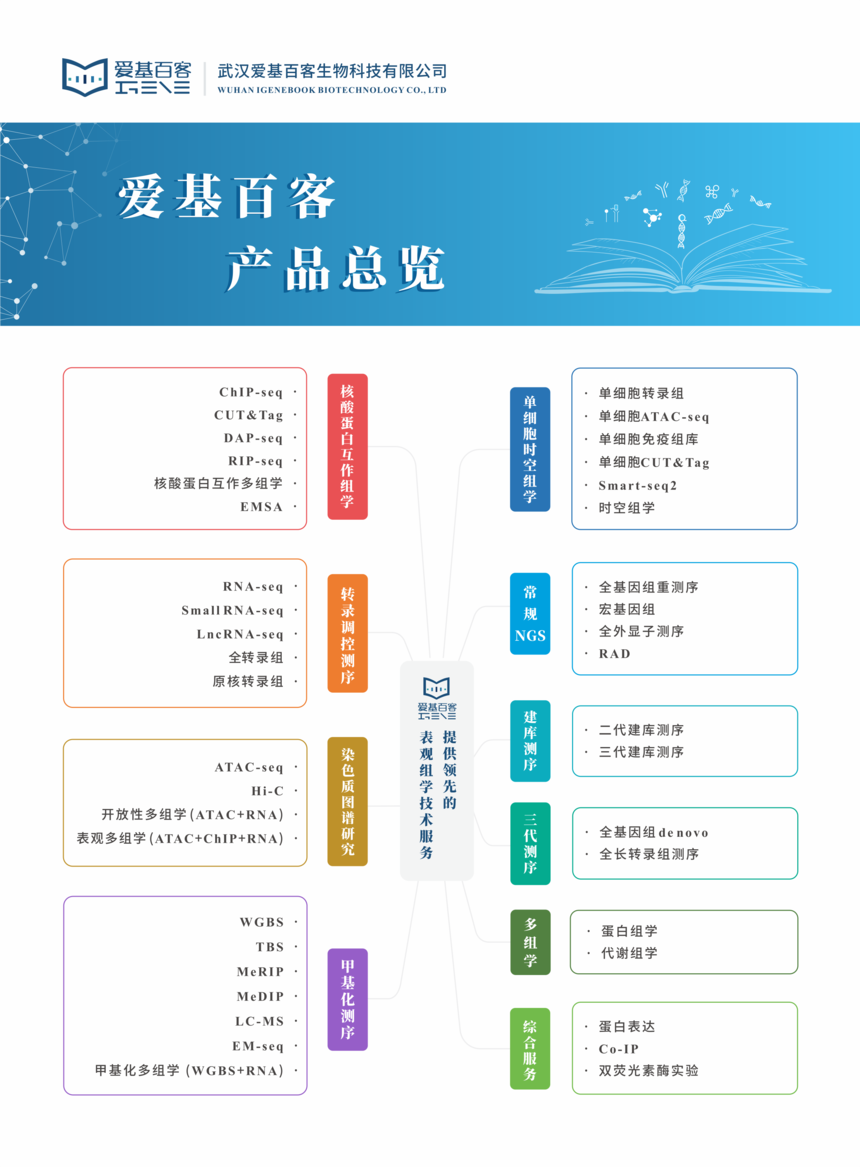 2024.10.28产品总览.png