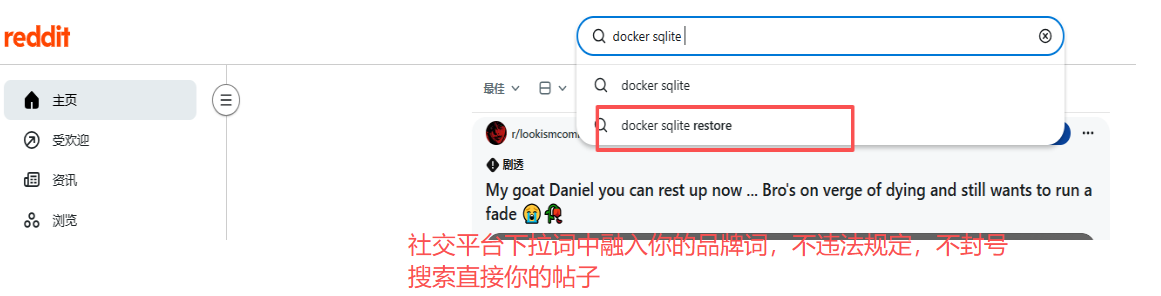 reddit下拉词