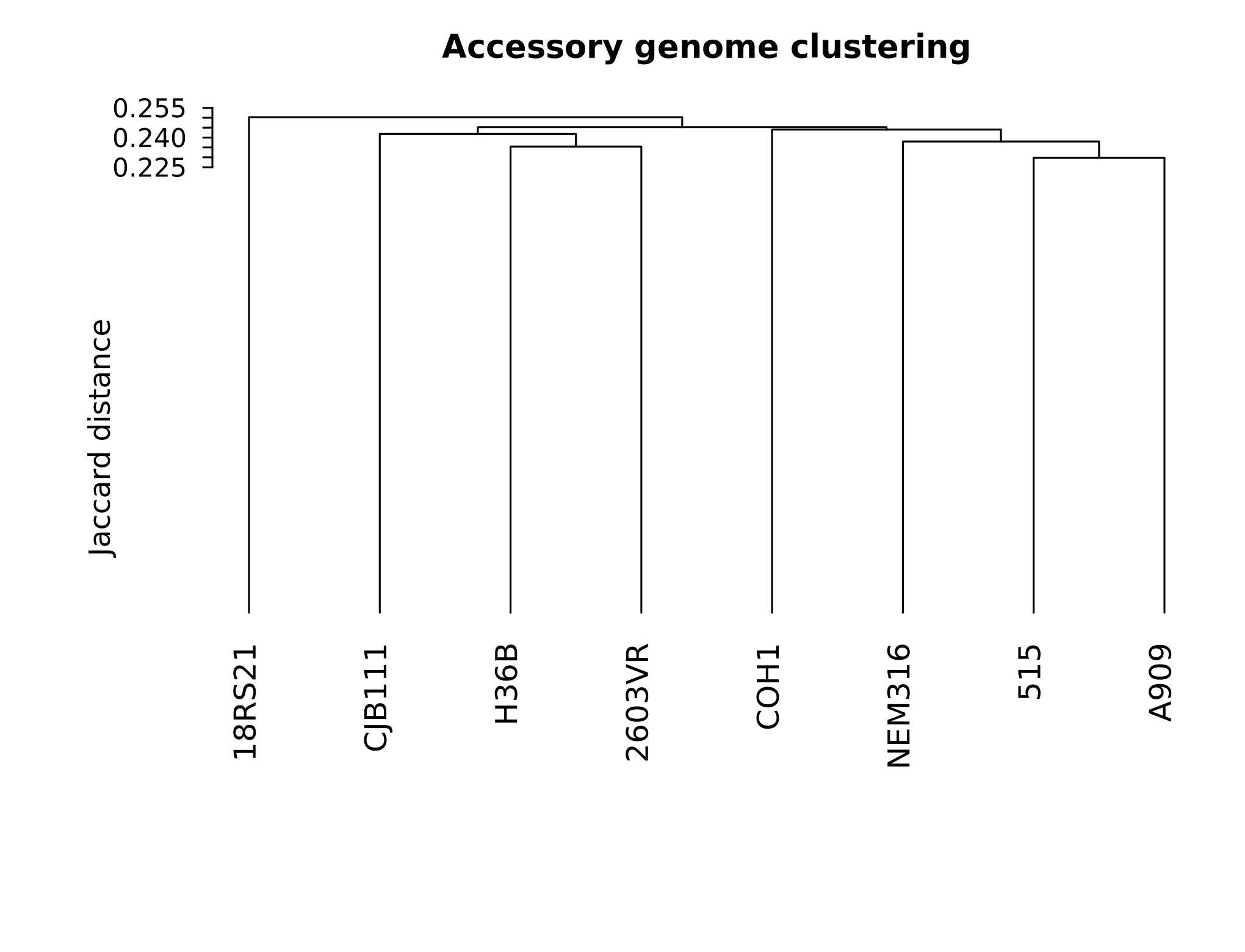 Figure 5. Accessory genome clustering. Jaccard distance was calculated from the binary gene presence/absence matrix and clustered by average linkage. Clustering reflects accessory gene content similarity rather than SNP-level phylogeny.