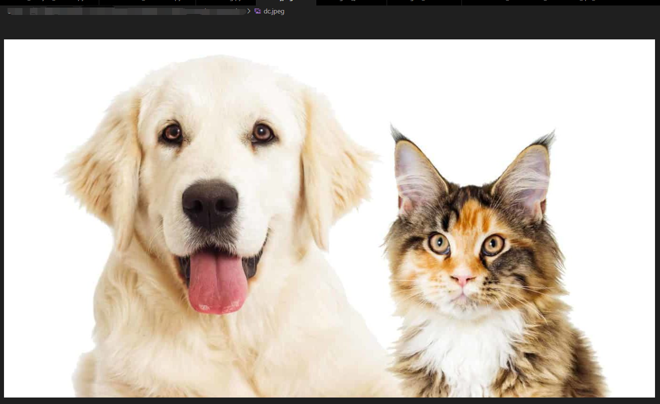 image.png