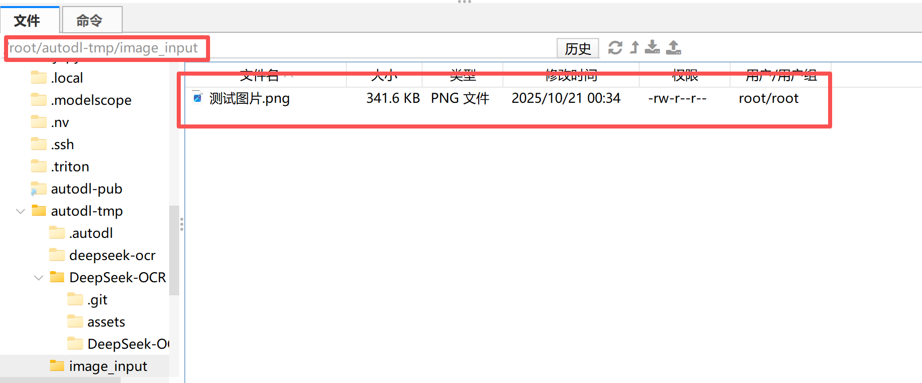 image-20251021163228084