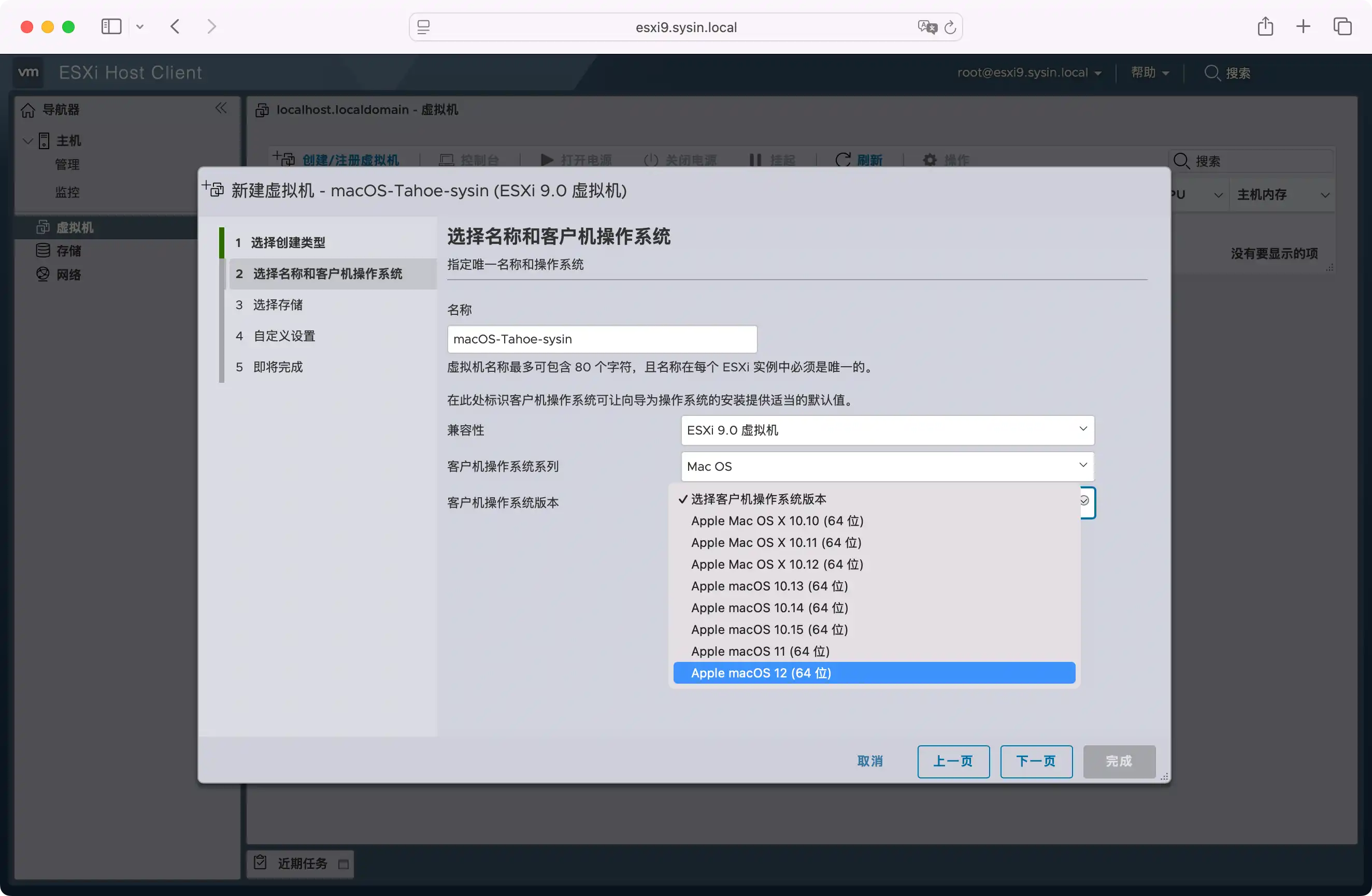 New VM in ESXi 9