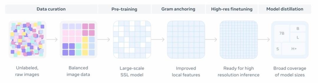 从数据整理(无标签原始图像、平衡的图像数据)、预训练(大规模自监督学习模型)、Gram Anchoring(改进的局部特征)、高分辨率微调(适用于高分辨率推理)和模型蒸馏(涵盖多种模型规模)。