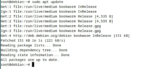 image-20241203111321327