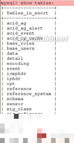 ids IDS入侵检测系统搭建(linux)