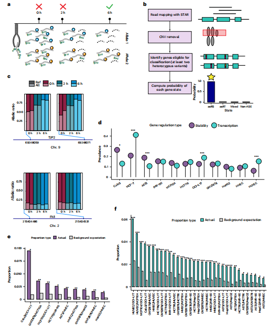 image https://i-blog.csdnimg.cn/img_convert/ea7602ace5782b6358205a3c42f6547f.png