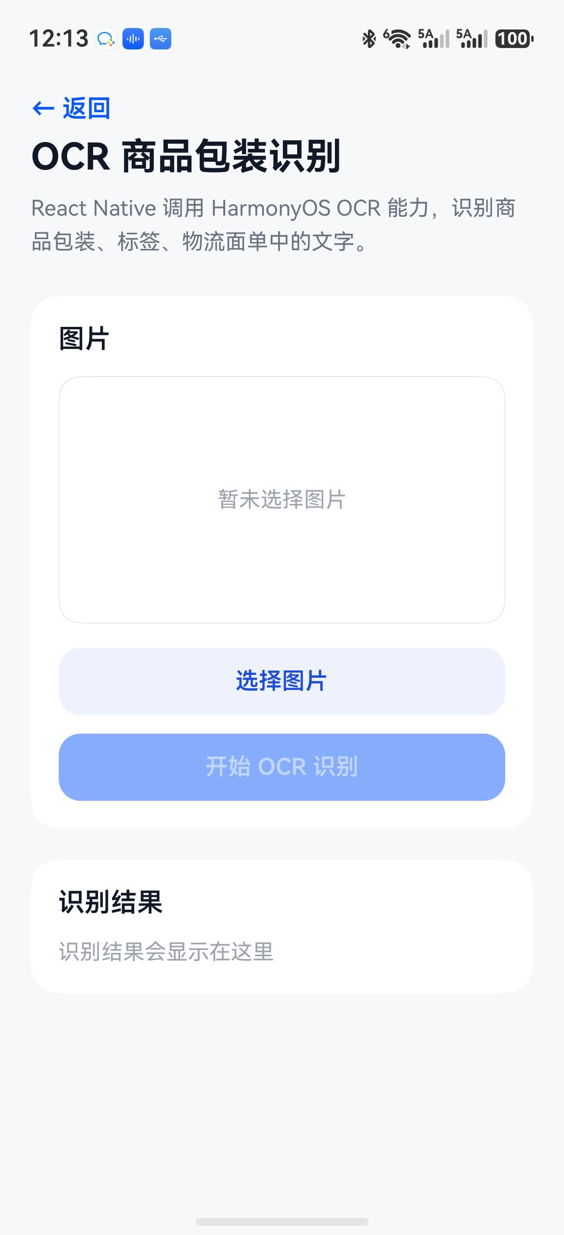 OCR 页面初始状态