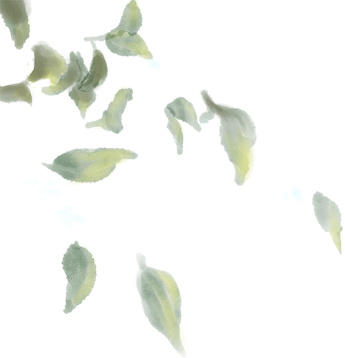 eac3e7a0f5b958af90e07175f2ac3b82.png