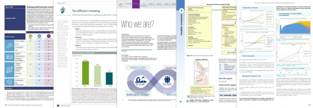 ViDoRe v1 基准数据集中的样本