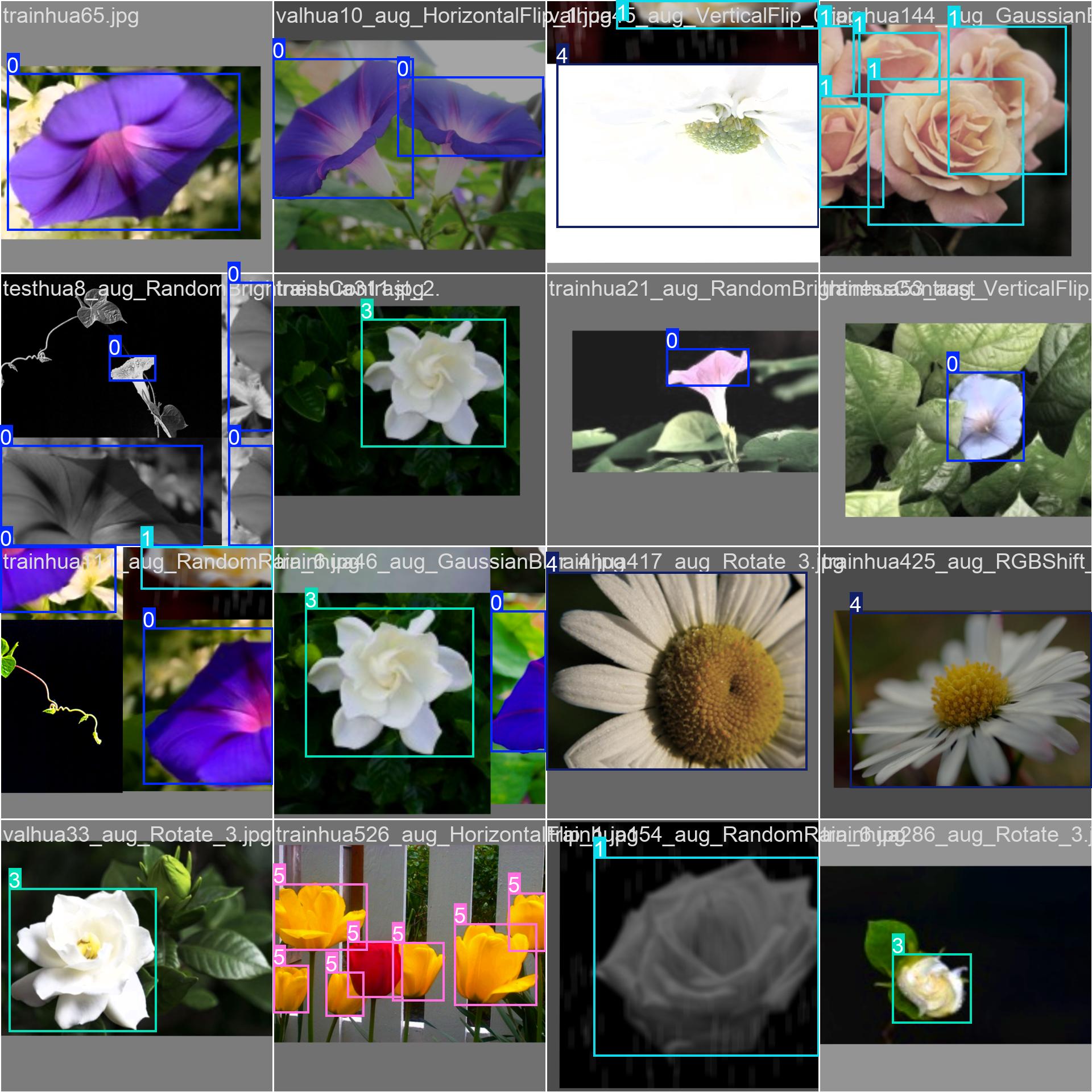 66_flower_det-train_batch0.jpg