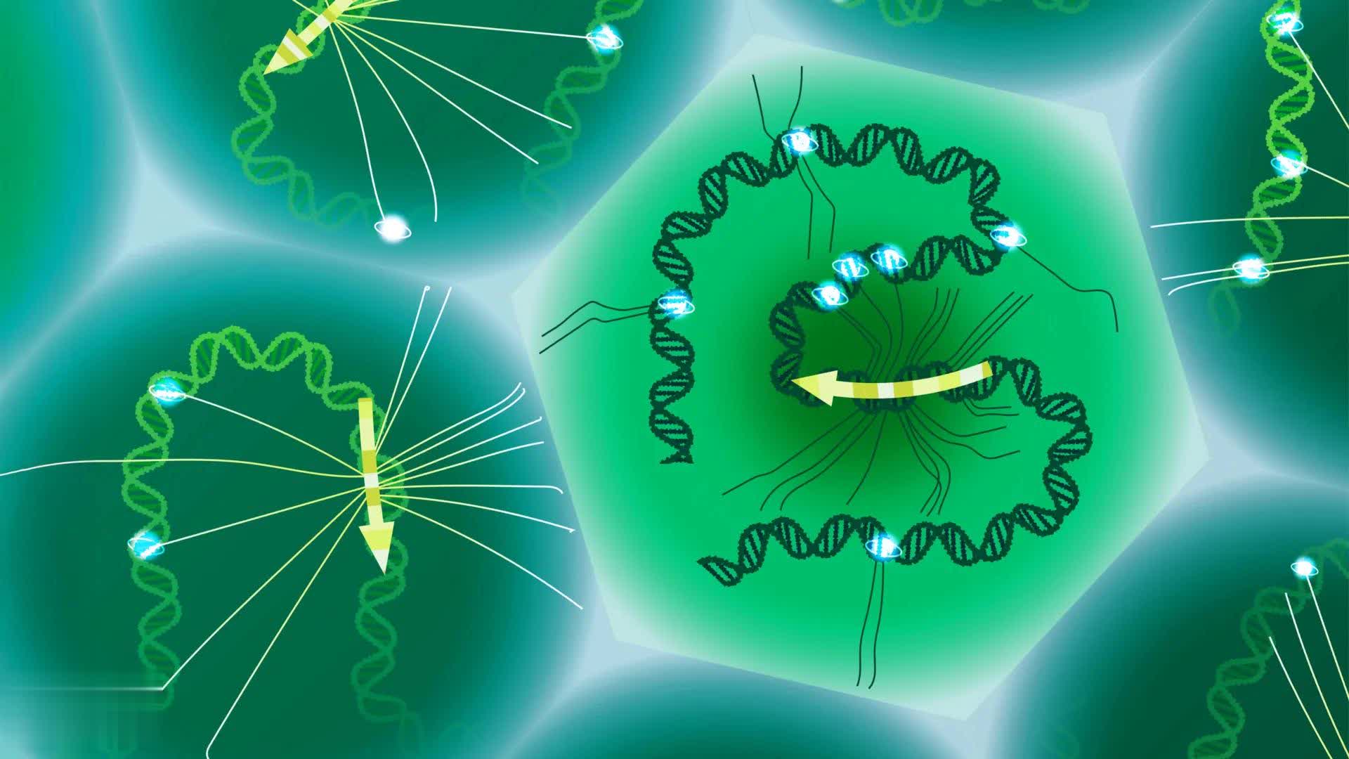 科学家终于读懂塑造疾病的隐藏DNA密码