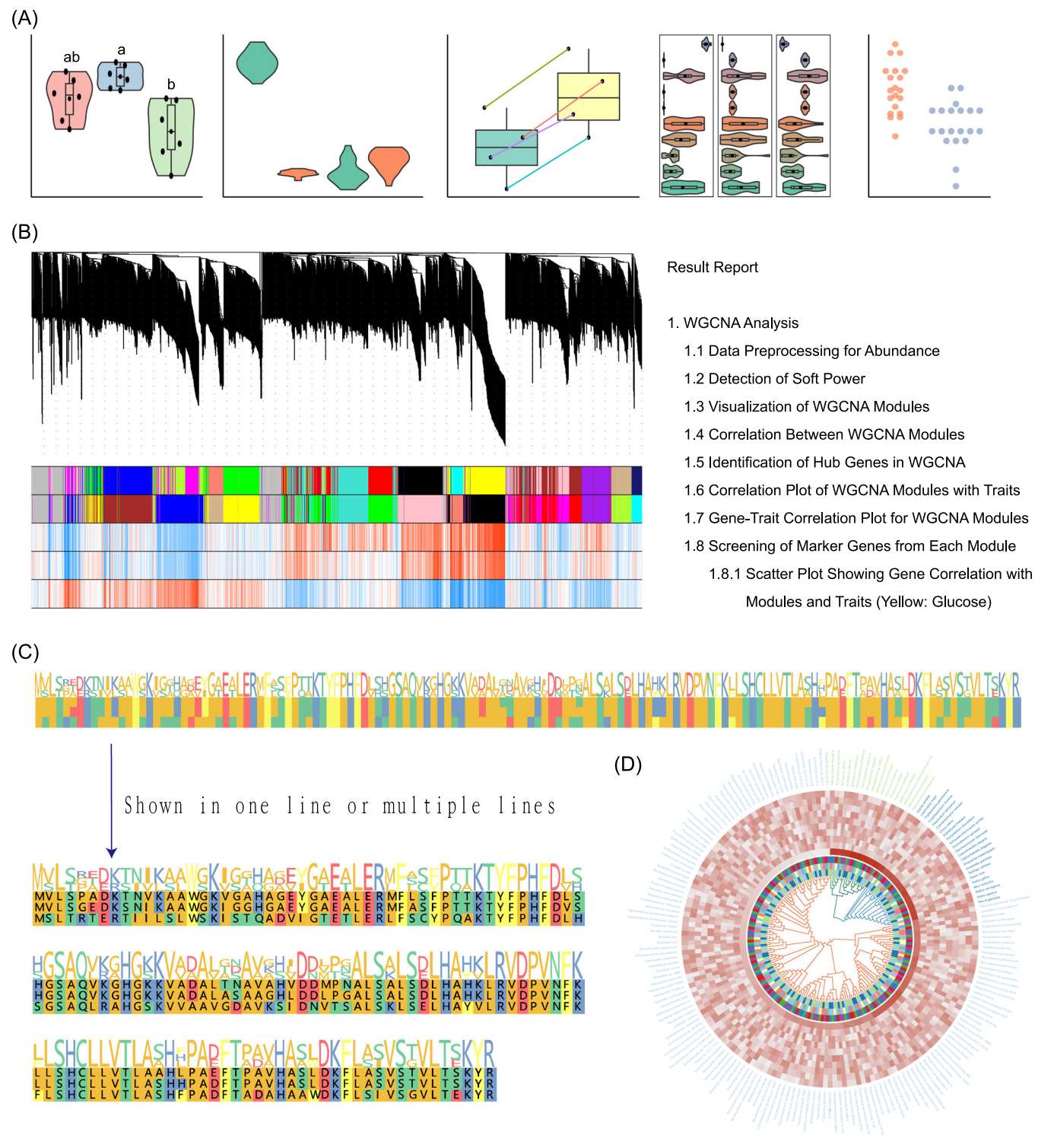 Figure 3. 典型可视化与分析成果展示