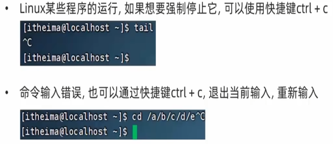 image-20260711100027993