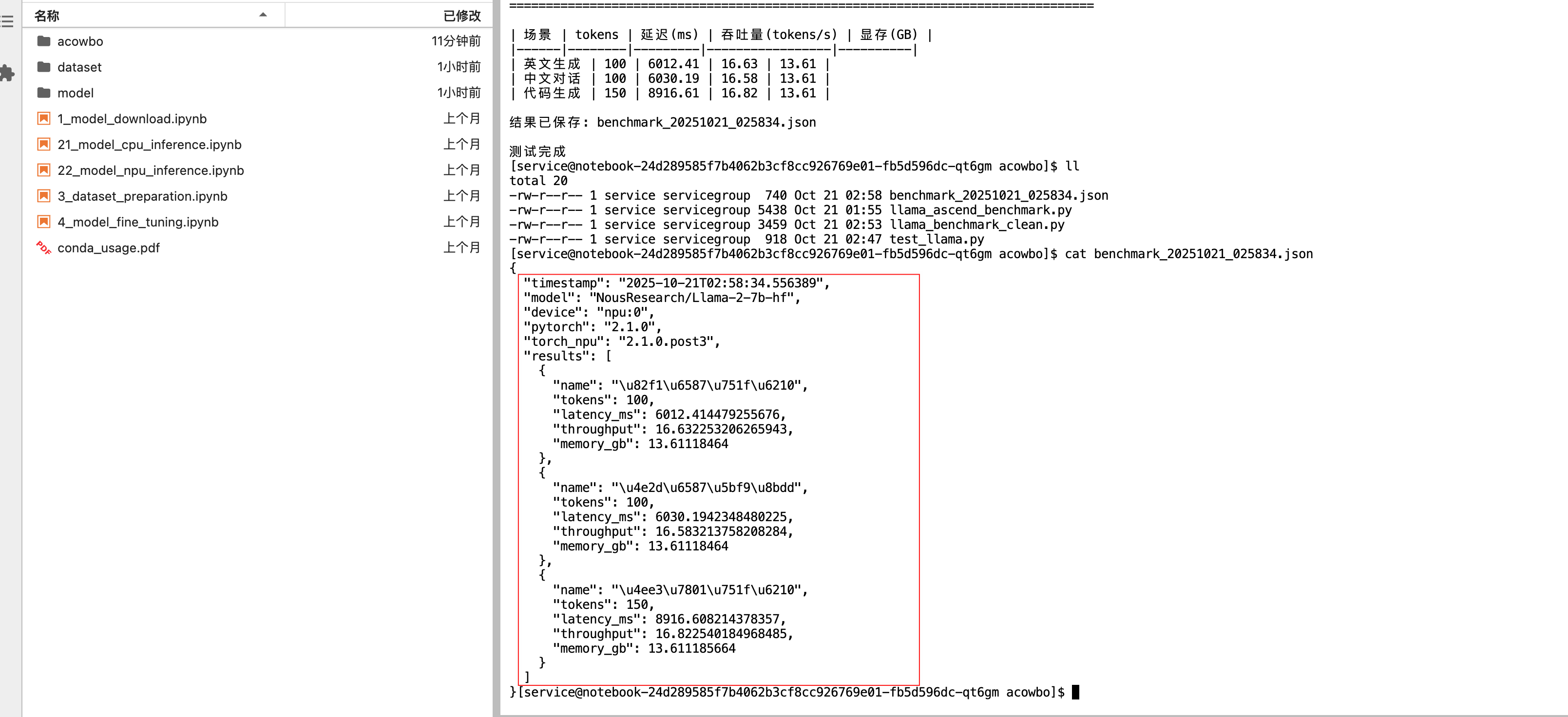 JSON结果文件