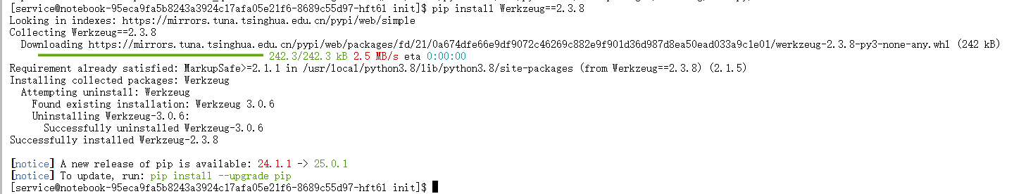 安装兼容的Werkzeug版本