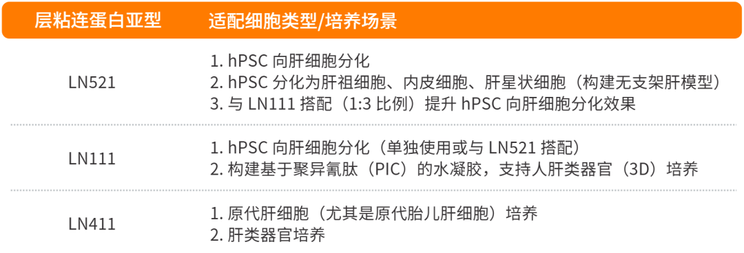 表1.不同亚型层粘连蛋白laminin针对肝细胞培养的适用场景存在差异