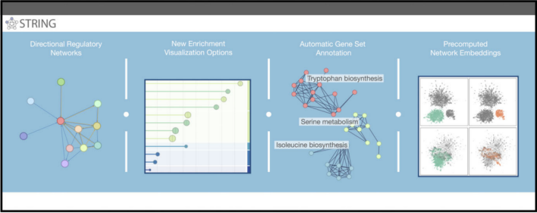 String Vs Intact Databse 蛋白互作数据库深度解析:STRING vs. BioGRID vs. IntAct,如何选择你的科研利器?_string核心通路怎么看-CSDN博客