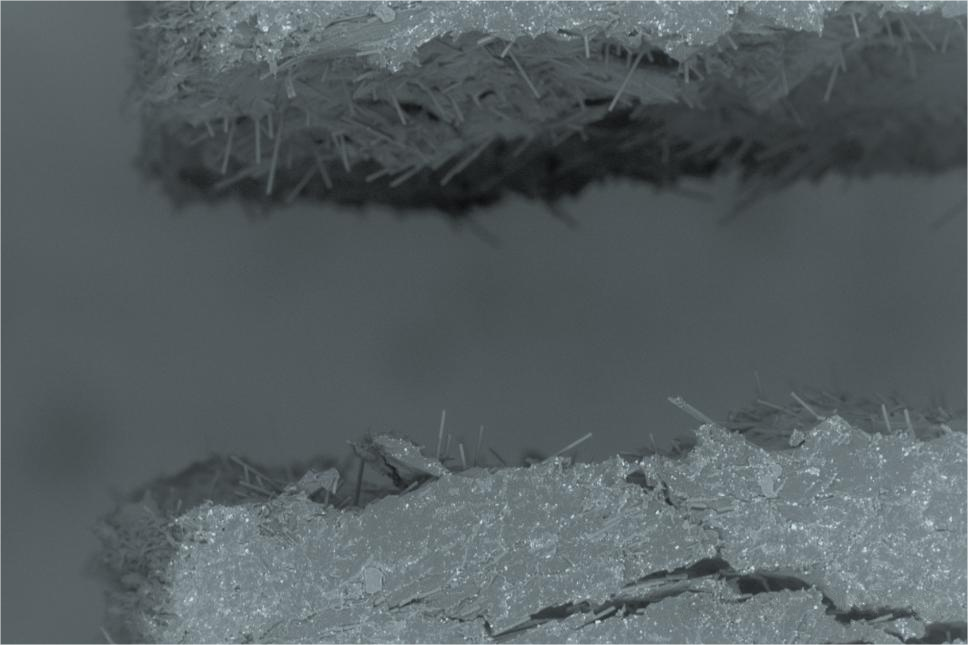 从原位实验到数值模拟的多尺度验证(扫描电镜)