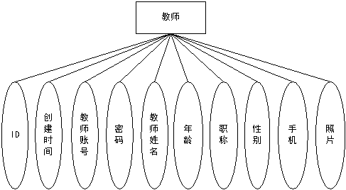 教师实体属性图