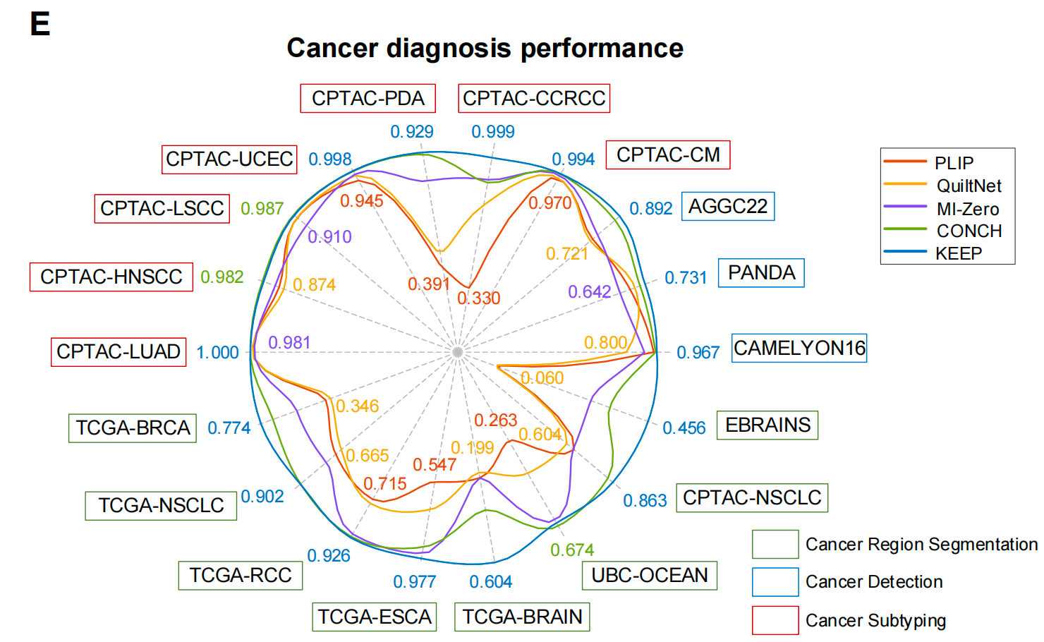 怎么买病理图文上海交大医工交叉团队在Nature与Cancer Cell连发两篇文章，均指向罕见病诊断难题_https://www.jmylbn.com_新闻资讯_第8张
