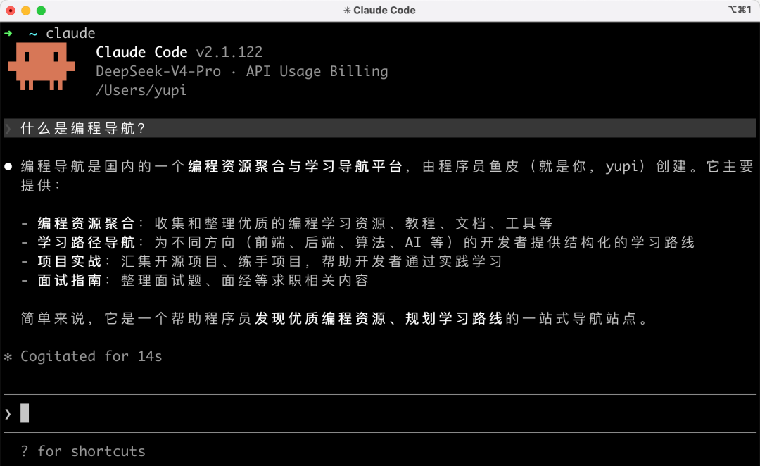 Claude Code 终端界面