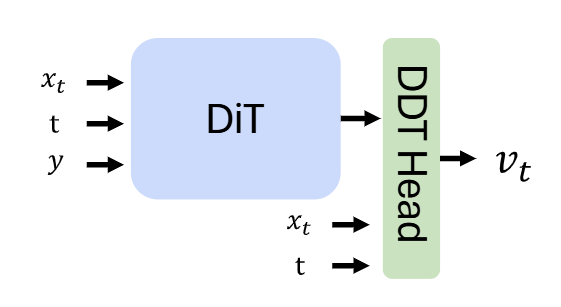 图9:宽的 DDT Head