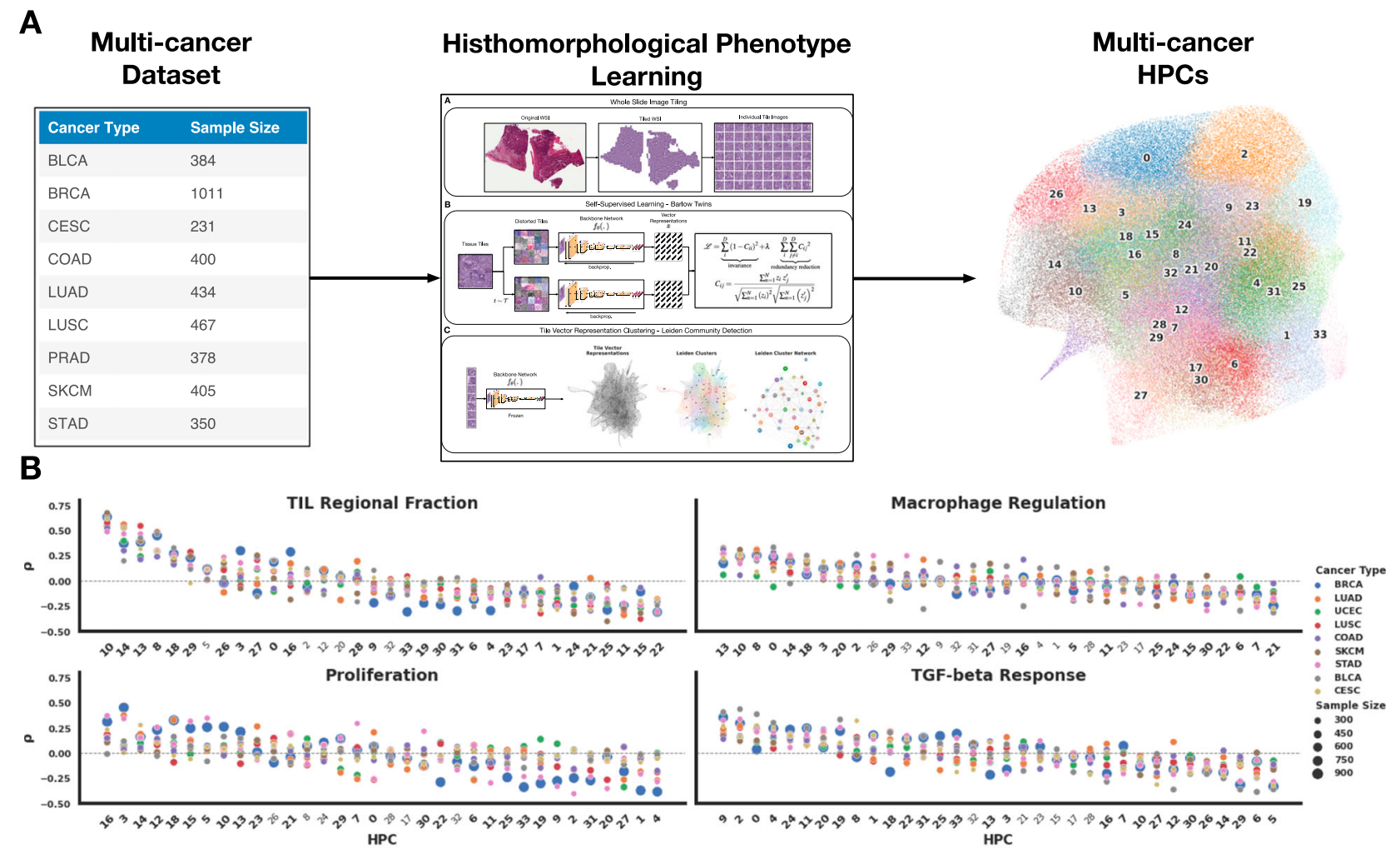 多癌种HPL分析流程及所得HPCs的主要富集结果