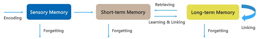 图6  人脑的内存管理
